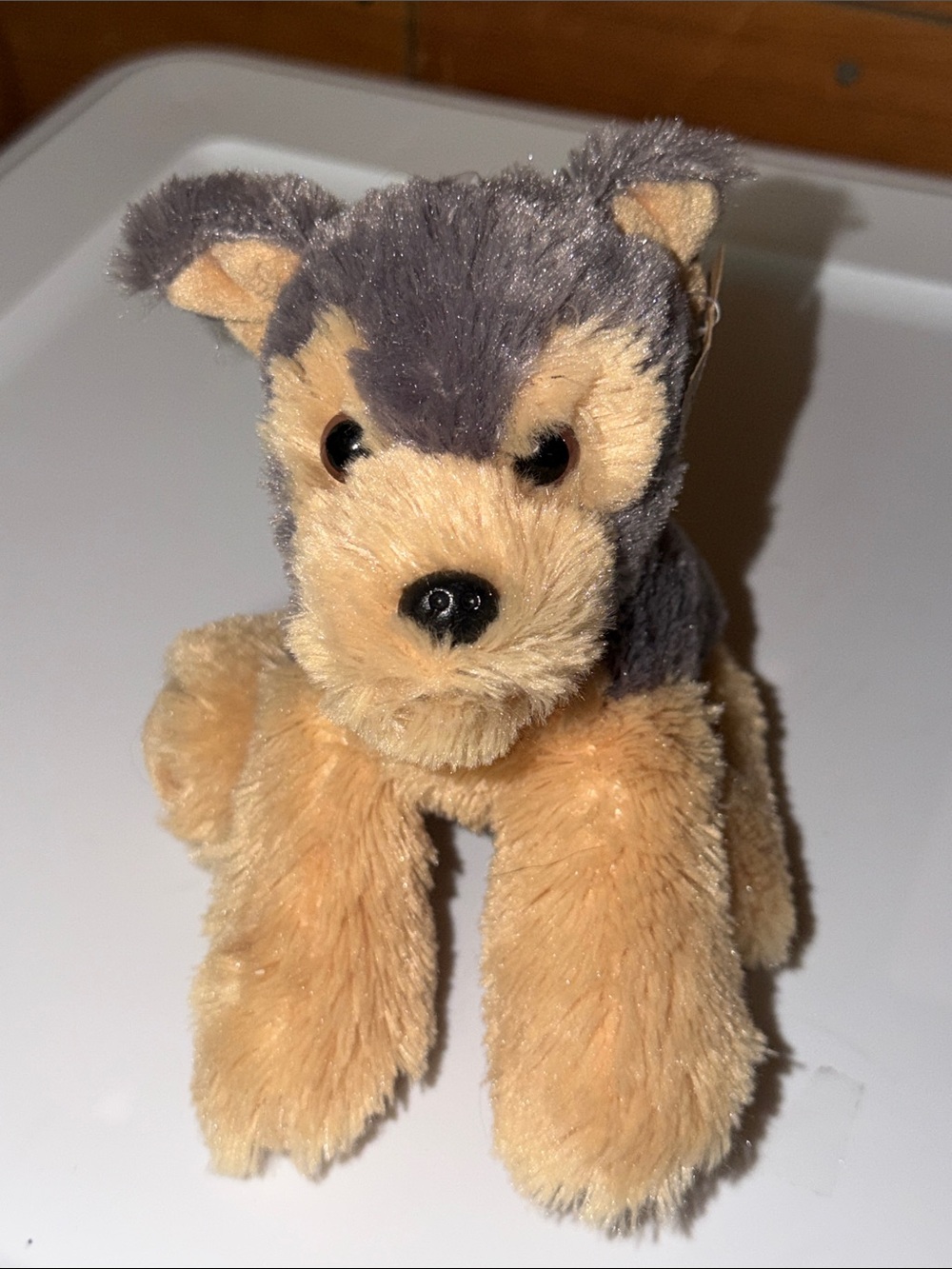 Aurora Eco Friendly plush 8” Yorkshire Terrier super cute!